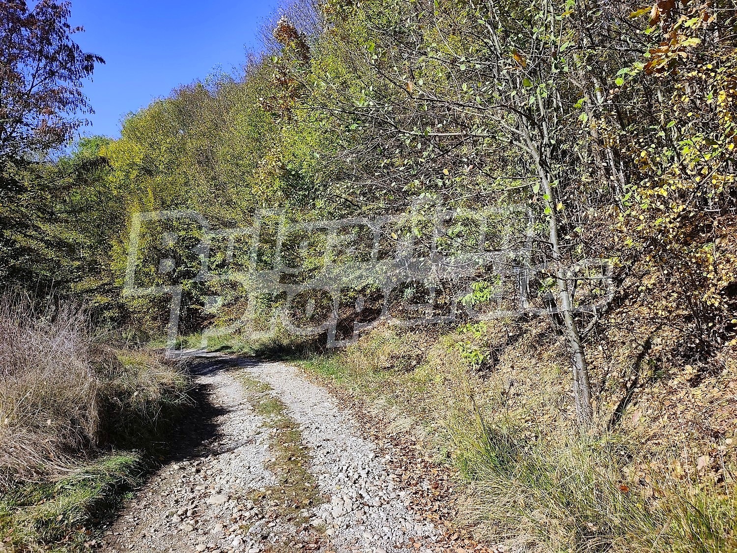 Продава ПАРЦЕЛ, гр. Априлци, област Ловеч, снимка 4 - Парцели - 56717590