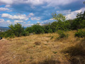 Продава ЗЕМЕДЕЛСКА ЗЕМЯ, гр. Кърджали, област Кърджали, снимка 4