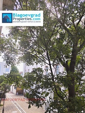 ������� 3-����� | Imot.bg � ����� ������ 2