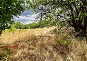 ����� ������� ������,��. ��������, ������ �����