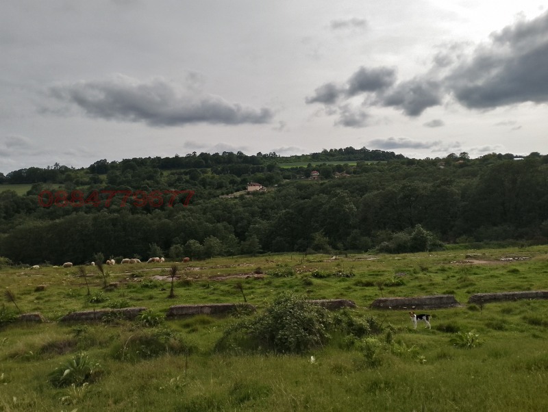 Προς πώληση  Γη περιοχή Βάρνα , Σολνηκ , 9 dka | 92282638 - εικόνα [2]