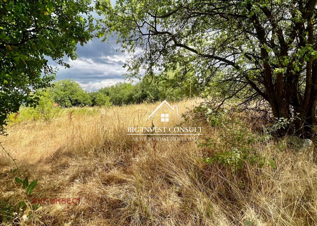 Продава ПАРЦЕЛ, гр. Драгоман, област София област