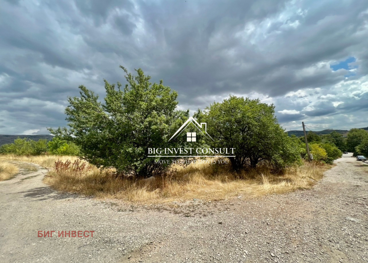 Продава ПАРЦЕЛ, гр. Драгоман, област София област, снимка 2 - Парцели - 54220133