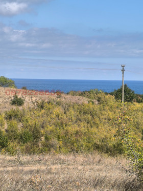 ����� ������� ������,�. �������, ������ ������