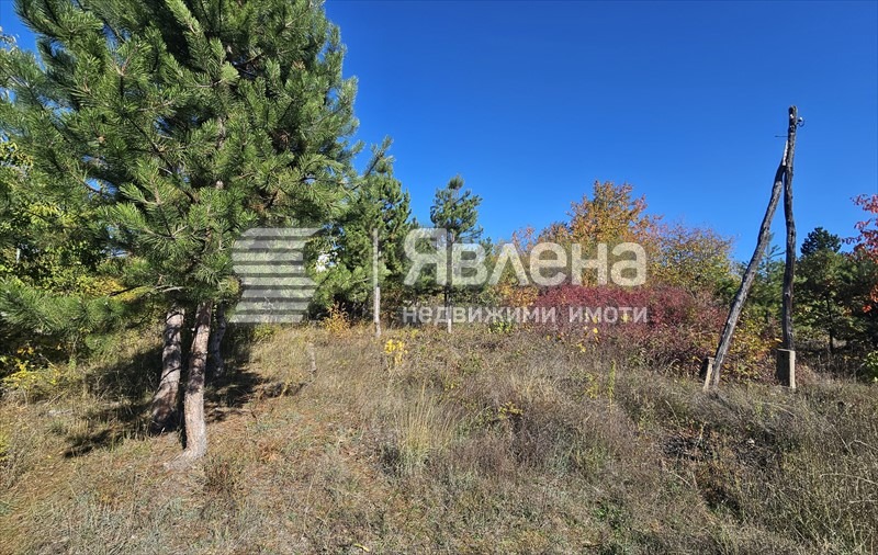 Продава ПАРЦЕЛ, гр. София, гр. Нови Искър, снимка 6 - Парцели - 55125420
