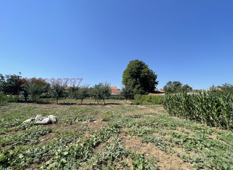 Продава КЪЩА, с. Межден, област Силистра, снимка 7 - Къщи - 52913127