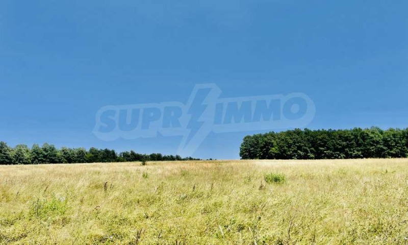 For Sale  Plot Gabrovo , Slavovtsi , 9000 sq.m | 59039467 - image [10]