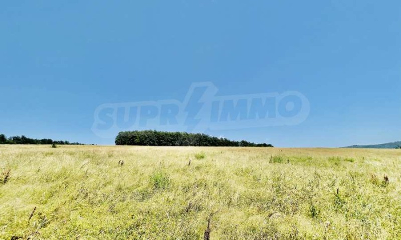 For Sale  Plot Gabrovo , Slavovtsi , 9000 sq.m | 59039467 - image [11]