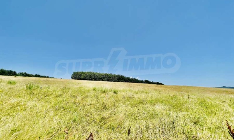 For Sale  Plot Gabrovo , Slavovtsi , 9000 sq.m | 59039467 - image [9]