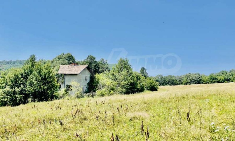 For Sale  Plot Gabrovo , Slavovtsi , 9000 sq.m | 59039467 - image [5]