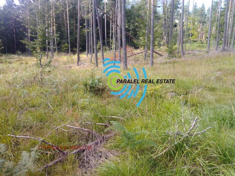 Продава ПАРЦЕЛ, хижа Здравец, област Пловдив