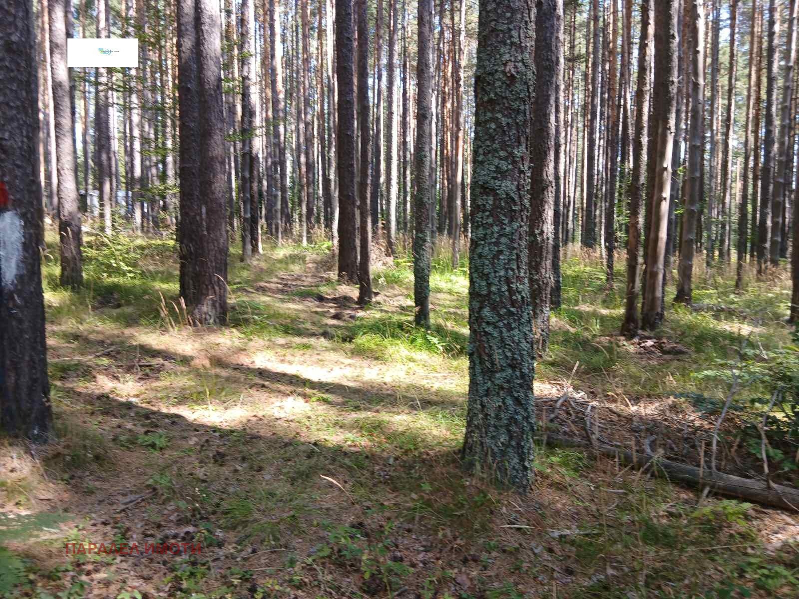 Продава ПАРЦЕЛ, хижа Здравец, област Пловдив, снимка 2 - Парцели - 55650930