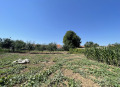 Продава КЪЩА, с. Межден, област Силистра, снимка 7