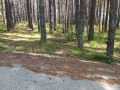 Продава ПАРЦЕЛ, хижа Здравец, област Пловдив, снимка 1