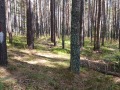 Продава ПАРЦЕЛ, хижа Здравец, област Пловдив, снимка 2
