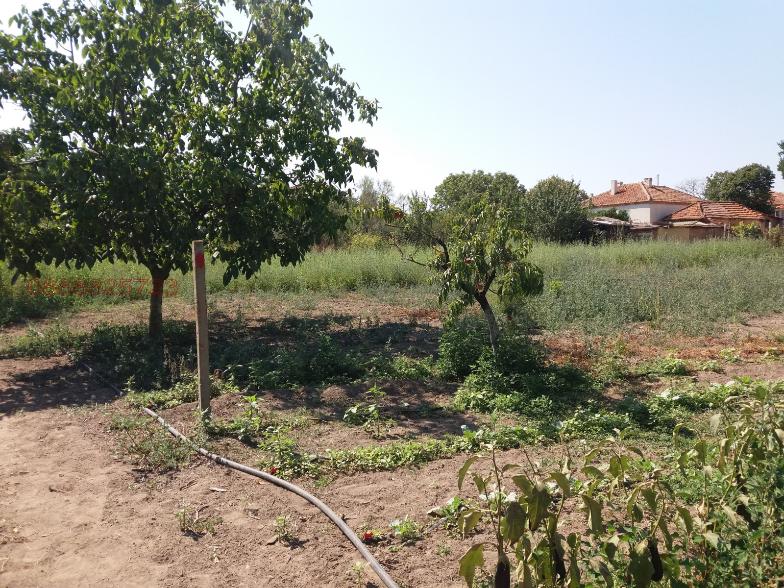 ������� ������ | Imot.bg � ����������� 1