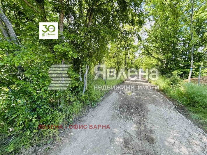 Продава КЪЩА, к.к. Камчия, област Варна, снимка 10 - Къщи - 53714372