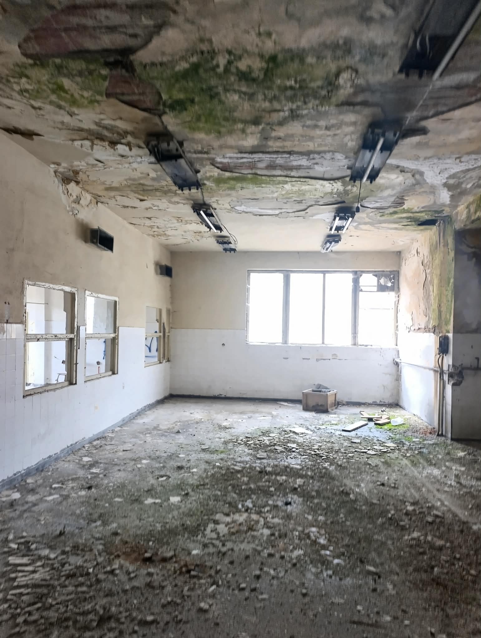 Продава ЗАВЕДЕНИЕ, с. Хвойна, област Смолян, снимка 6 - Заведения - 54188333