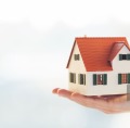 Продава ПАРЦЕЛ, област Враца, с. Паволче • 50000 € / 97791.50 лв. • 22787886 1