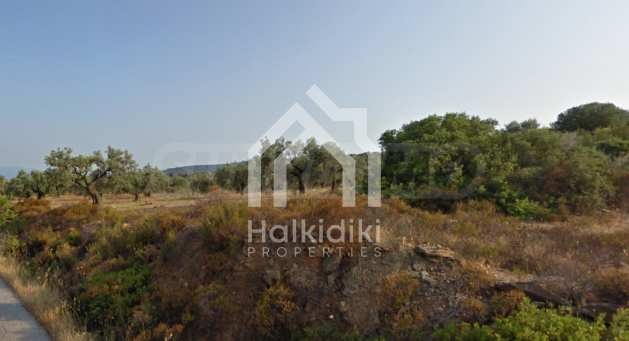 Продава ПАРЦЕЛ | Imot.bg — изображение 3