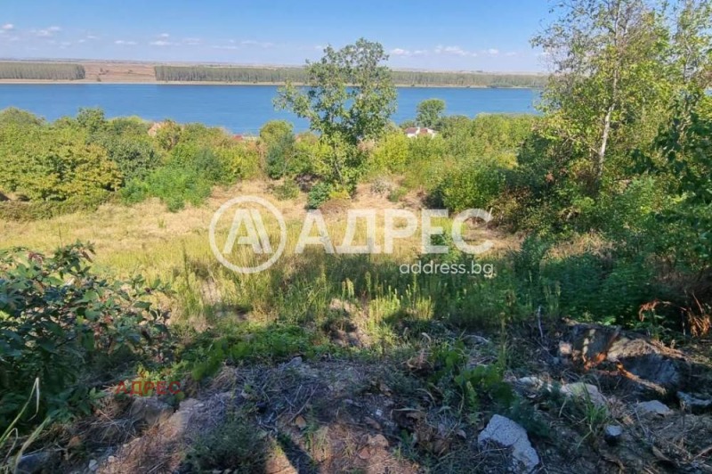 Продава  Парцел област Видин , с. Ясен , 1342 кв.м | 69373090