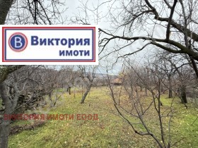 Plot Pchelishte, region Veliko Tarnovo 1