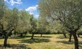 Продава ПАРЦЕЛ, Извън страната, област Извън страната, снимка 6