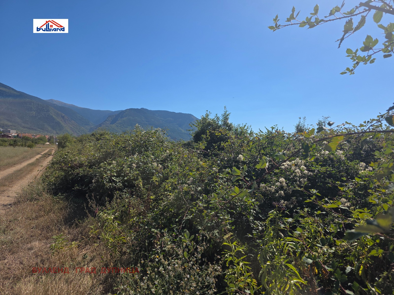������� ���������� ���� | Imot.bg � ����������� 4