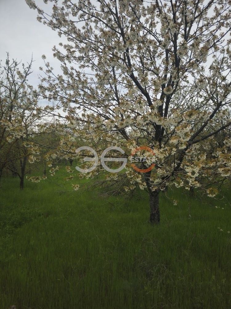 ������� ������ | Imot.bg � ����������� 3