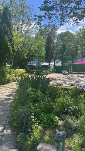 Trama Kniajevo, Sofia 5