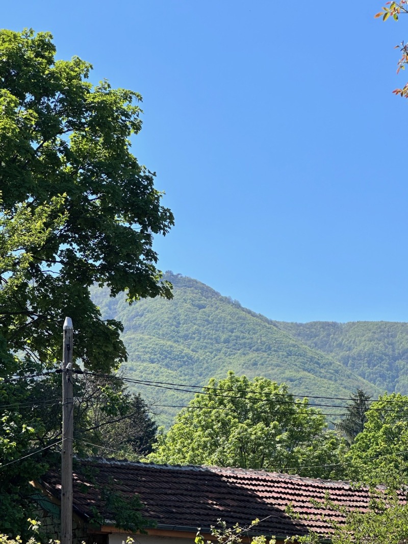 For Sale  Plot Sofia , Knyazhevo , 481 sq.m | 96650030 - image [4]