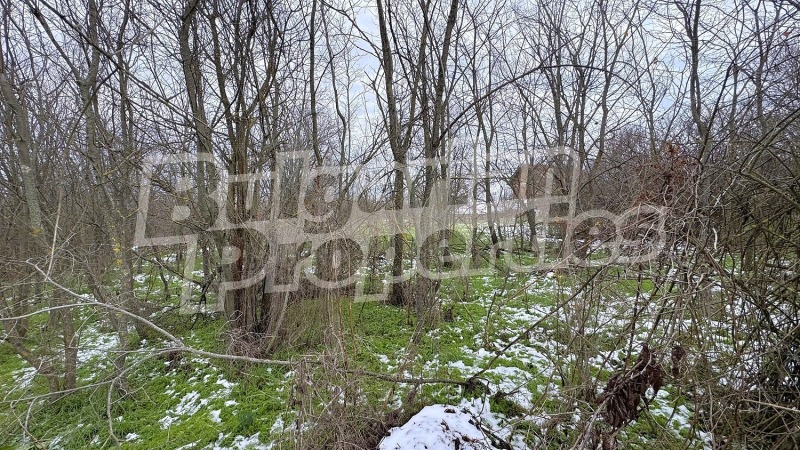 Продава КЪЩА, с. Козаревец, област Стара Загора, снимка 9 - Къщи - 53185892