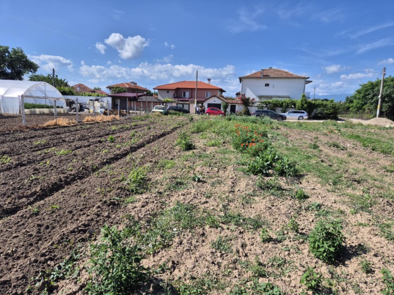 Продаја  Плот регион Пазарџик , Ивајло , 1067 м2 | 52483474 - слика [4]