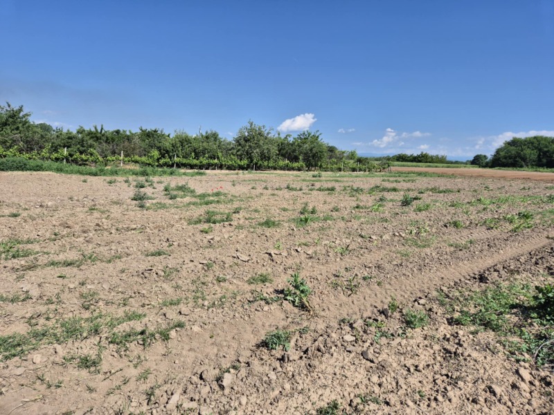 Продаја  Плот регион Пазарџик , Ивајло , 1067 м2 | 52483474 - слика [2]