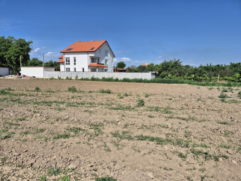 Продаја  Плот регион Пазарџик , Ивајло , 1067 м2 | 52483474 - слика [3]