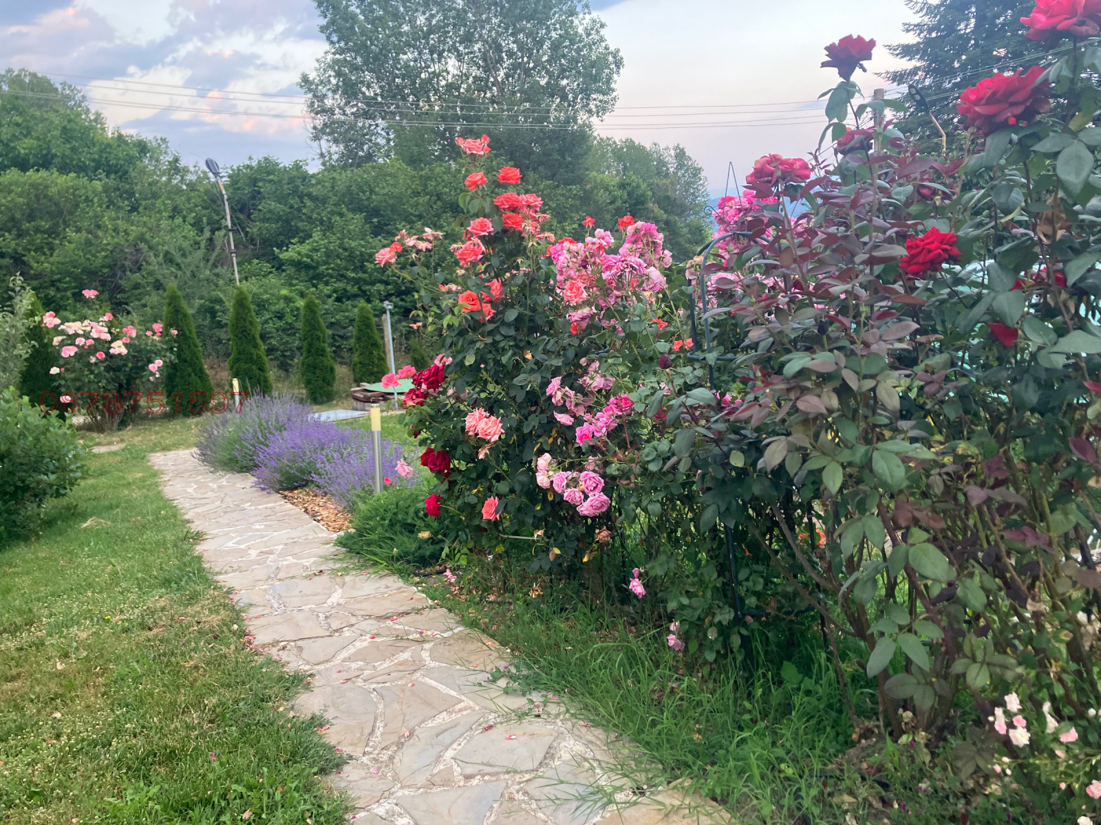 ������� ���� | Imot.bg � ����������� 8