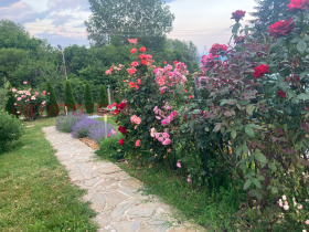 ������� ���� | Imot.bg � ����� ������ 8