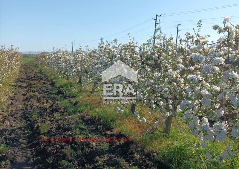 For Sale  Plot region Burgas , Aheloy , 4000 sq.m | 12329275