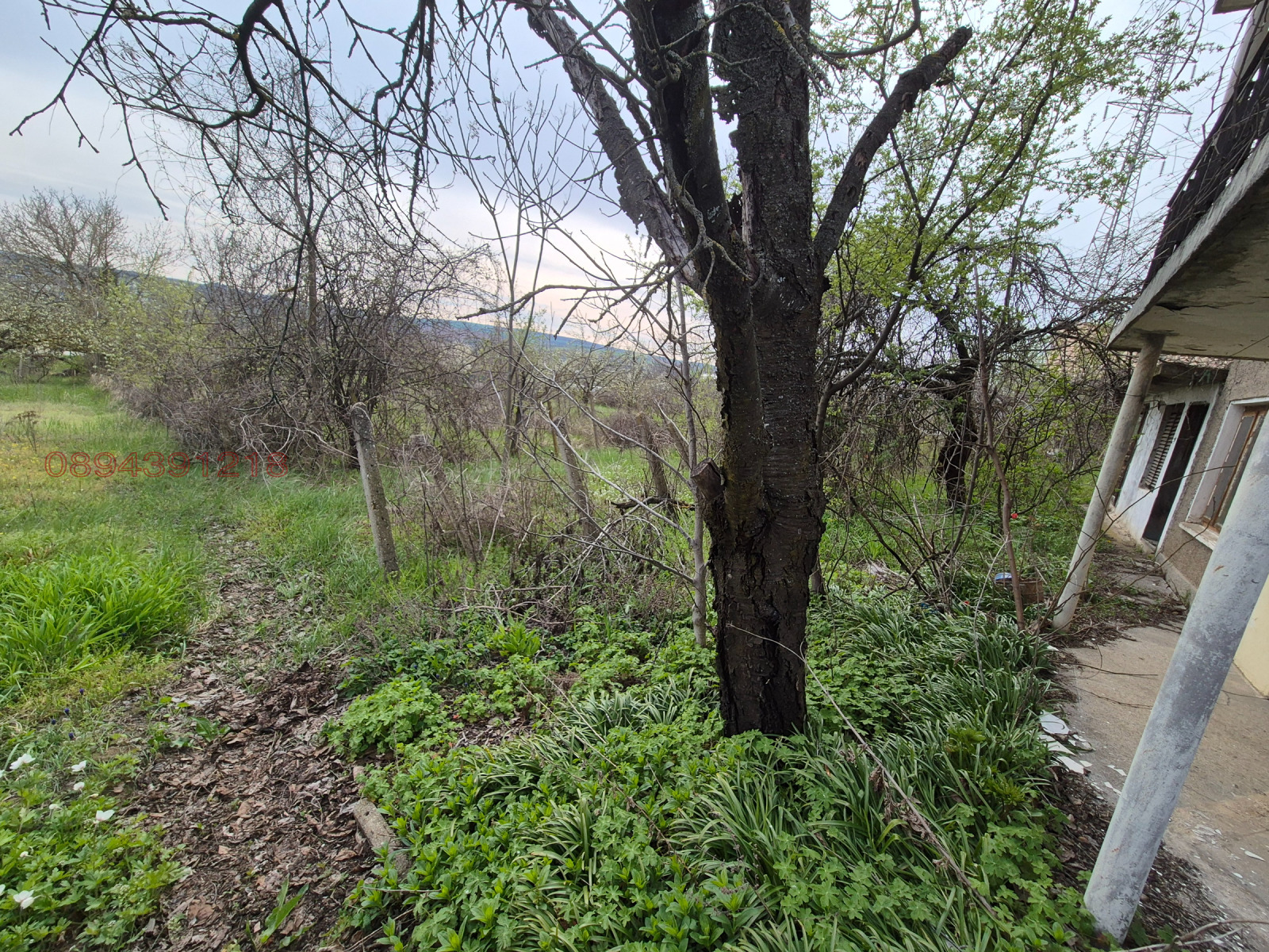 Продава ВИЛА, гр. Разград, Център, снимка 2 - Вили - 54264525