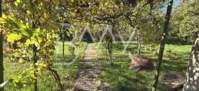 ������� ���� | Imot.bg � ����� ������ 15