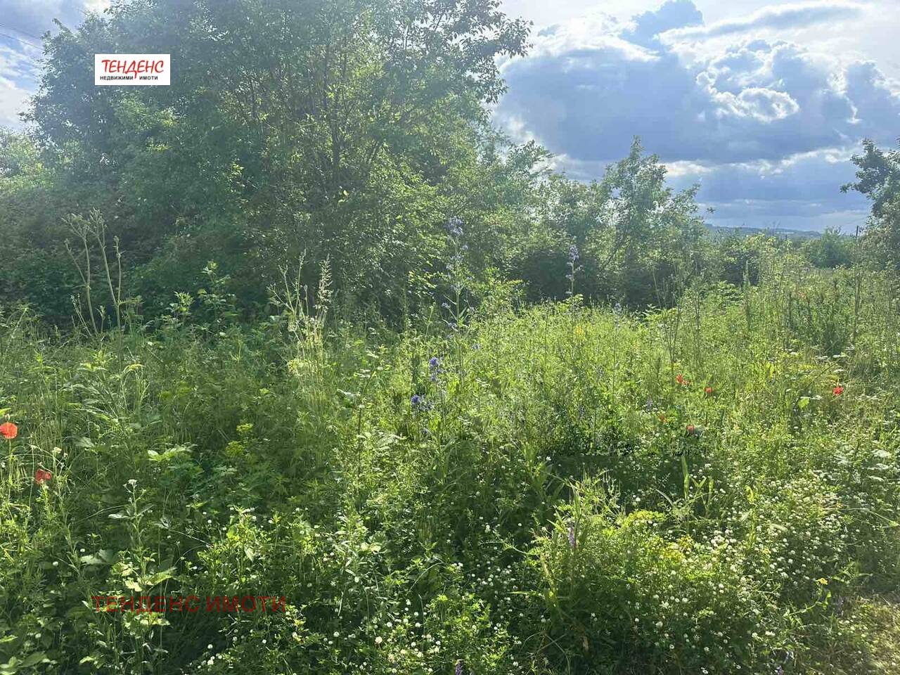 Продава ПАРЦЕЛ, гр. Кърджали, Веселчане, снимка 6 - Парцели - 55290793