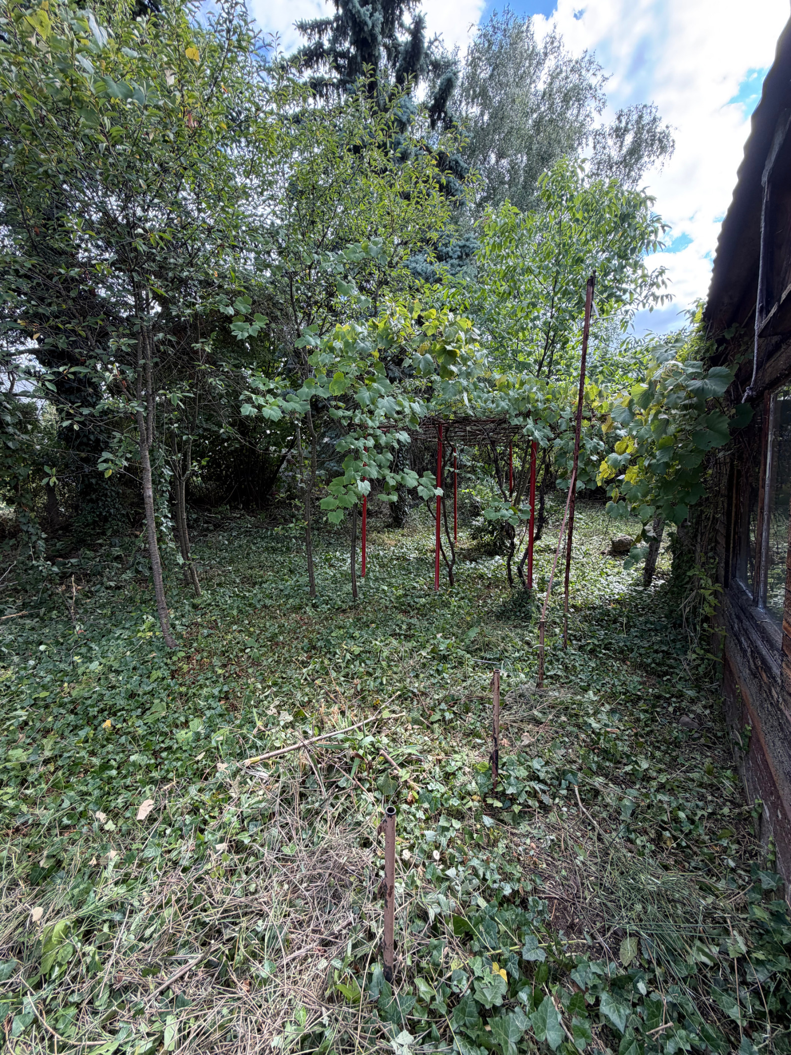 ������� ������ | Imot.bg � ����������� 9
