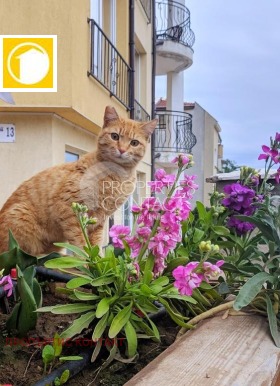������� 1-����� | Imot.bg � ����� ������ 8