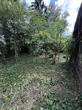 ������� ������ | Imot.bg � ����� ������ 9