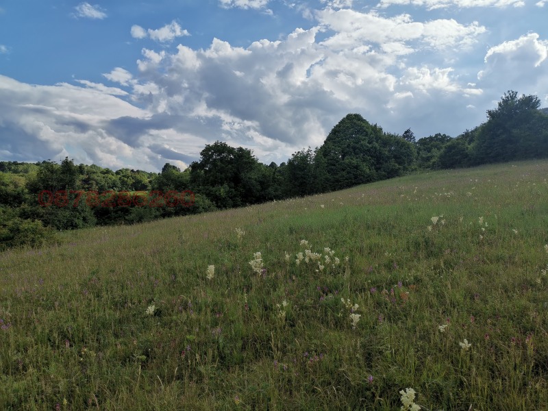 Продава ПАРЦЕЛ, гр. Ябланица, област Ловеч