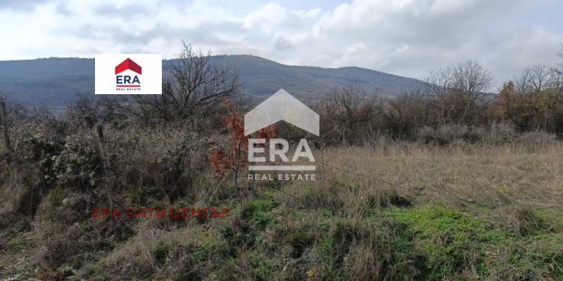 Продава ПАРЦЕЛ, с. Ново село, област Стара Загора, снимка 2 - Парцели - 52651914