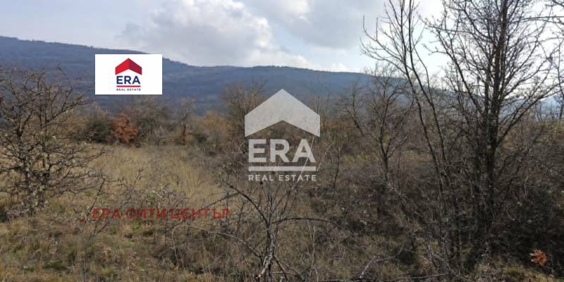 Продава ПАРЦЕЛ, с. Ново село, област Стара Загора, снимка 2 - Парцели - 52651914