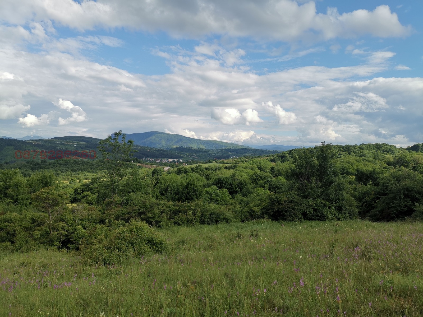 Продава ПАРЦЕЛ, гр. Ябланица, област Ловеч, снимка 2 - Парцели - 54011130