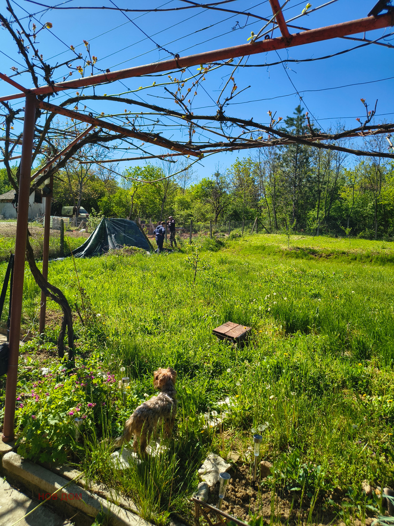Продава ПАРЦЕЛ, с. Руска Бела, област Враца, снимка 3 - Парцели - 56161001