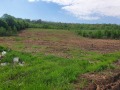 Продава ПАРЦЕЛ, с. Шереметя, област Велико Търново, снимка 2